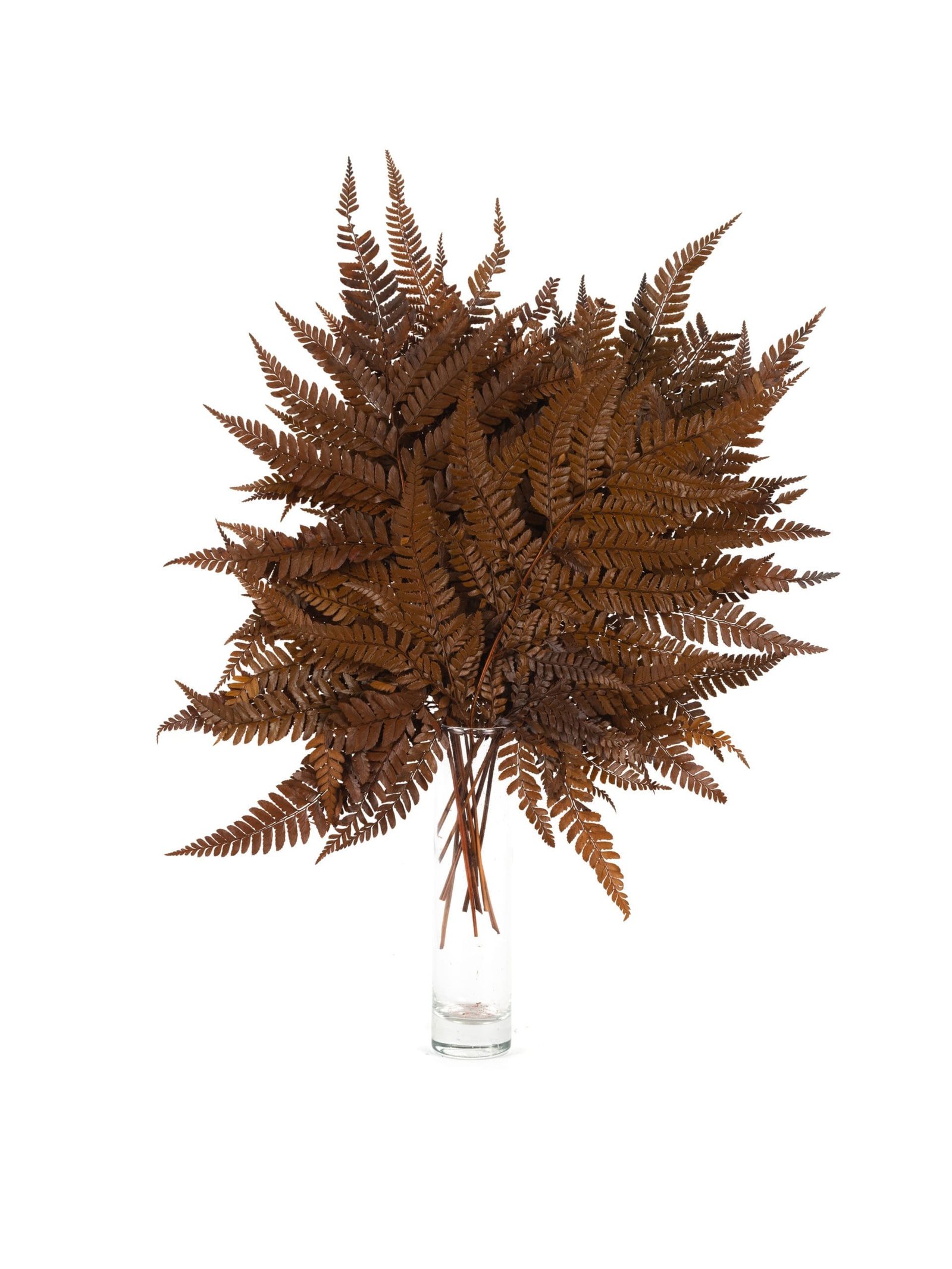Fern Rumohra Autumn NI Vase Fern Rumohra Autumn NI - Image 2
