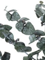Eucalyptus Baby Gunny Green RU - Image 2