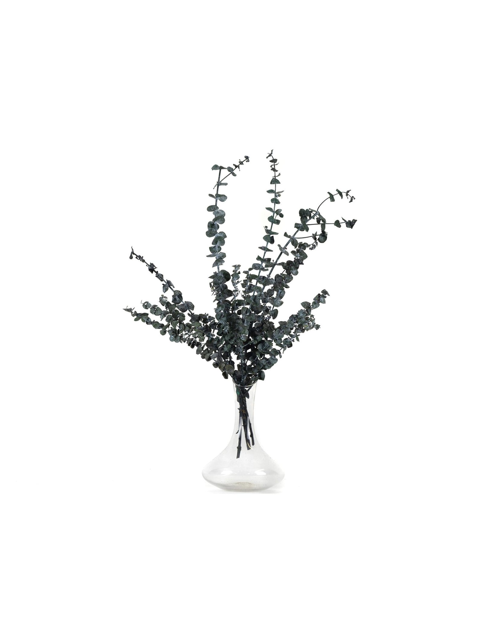 Eucalyptus20Baby20Green20RU20Vase-scaled-1.jpg Eucalyptus Baby Gunny Green RU - Image 4