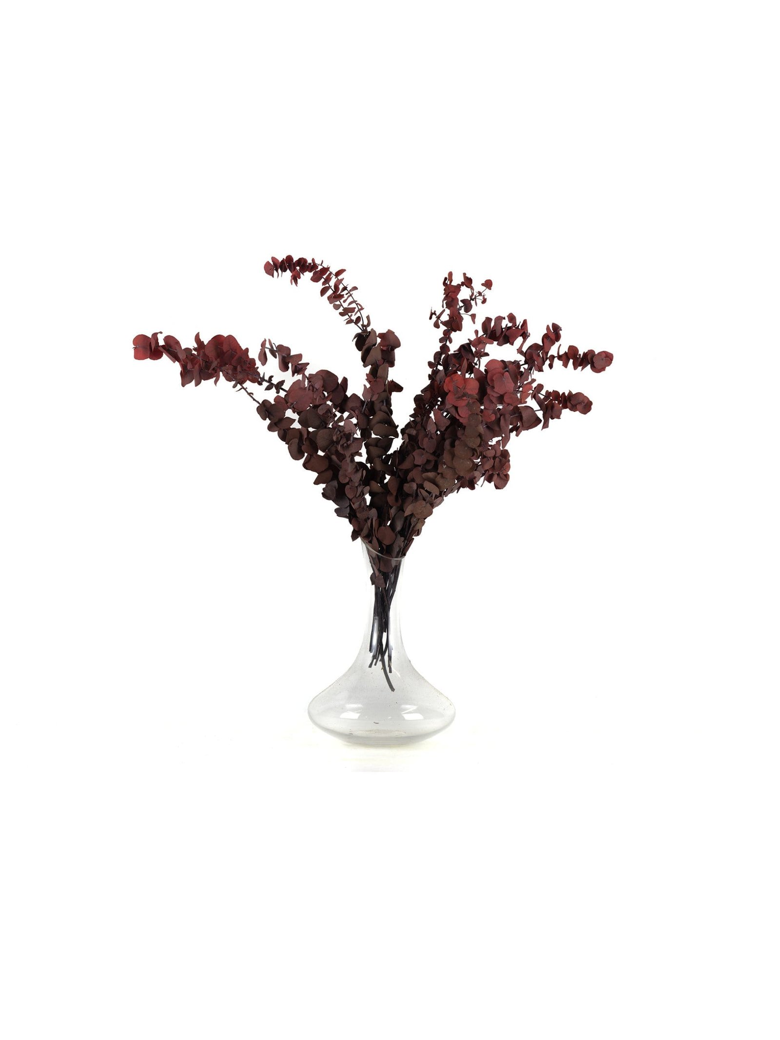Eucalyptus20Stewartiana20Red20RU20Vase-scaled-1.jpg Eucalyptus Stewartiana Red RU - Image 3