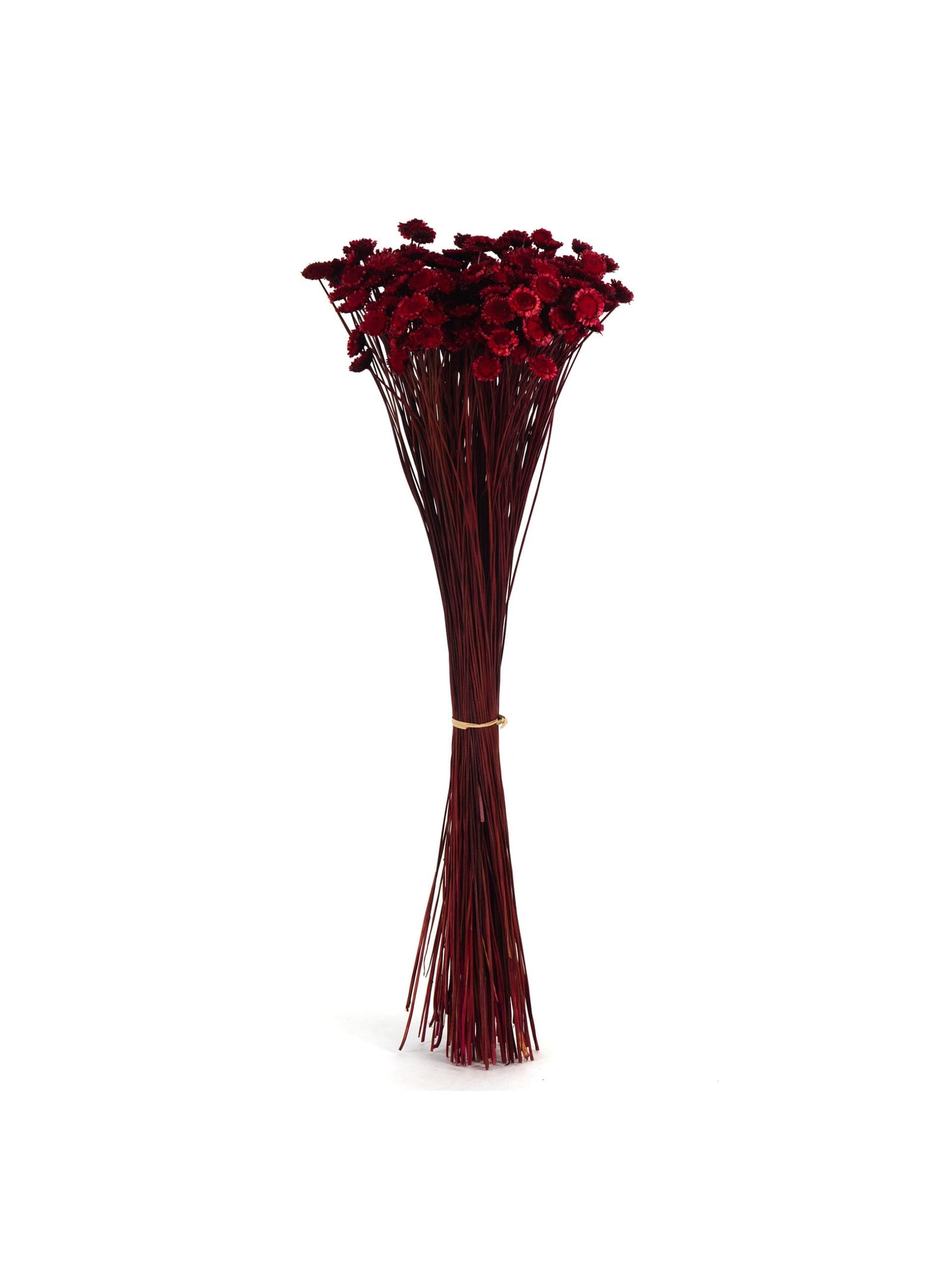 Margaret20Red20NI20Bunch-scaled-1.jpg Margaret Red NI - Image 1