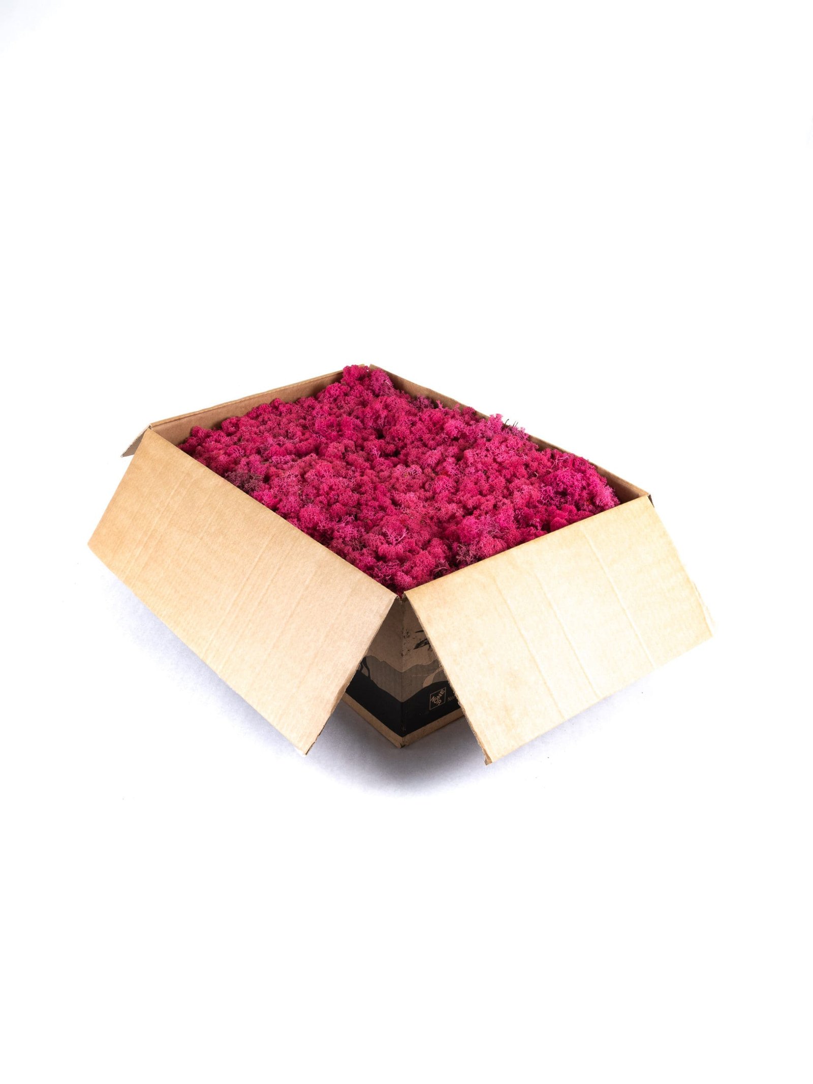 Reindeer20Cyclamen20NO20Box-scaled-1.jpg Reindeer Cyclamen NO (9 lbs MB) - Image 3