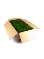 Sheet Moss Medium IS (8 lbs MB) - Image 4