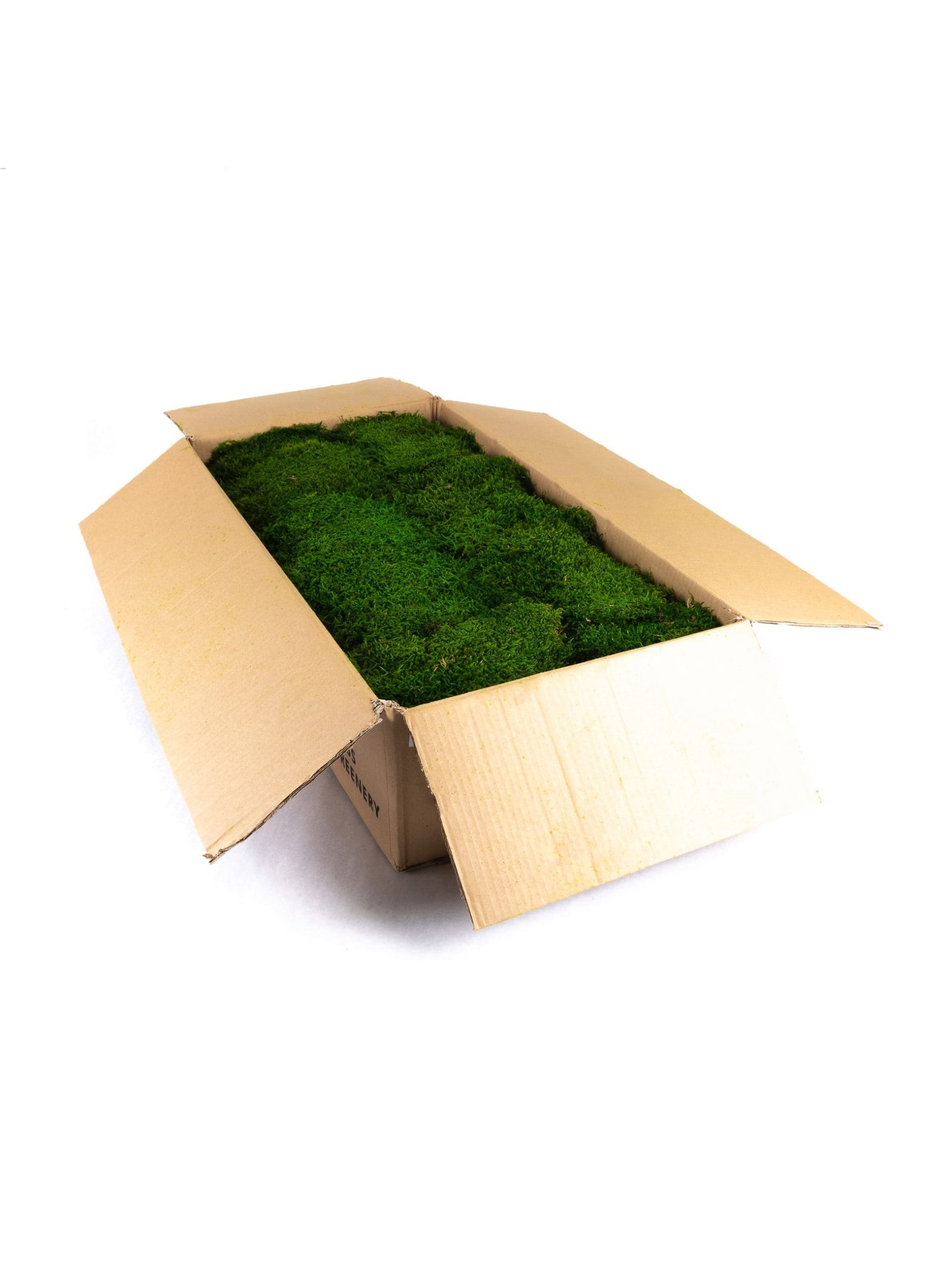 Sheet20Moss20Dark20Green20IS20Masterbox-scaled-1.jpg Sheet Moss Medium IS (8 lbs MB) - Image 4