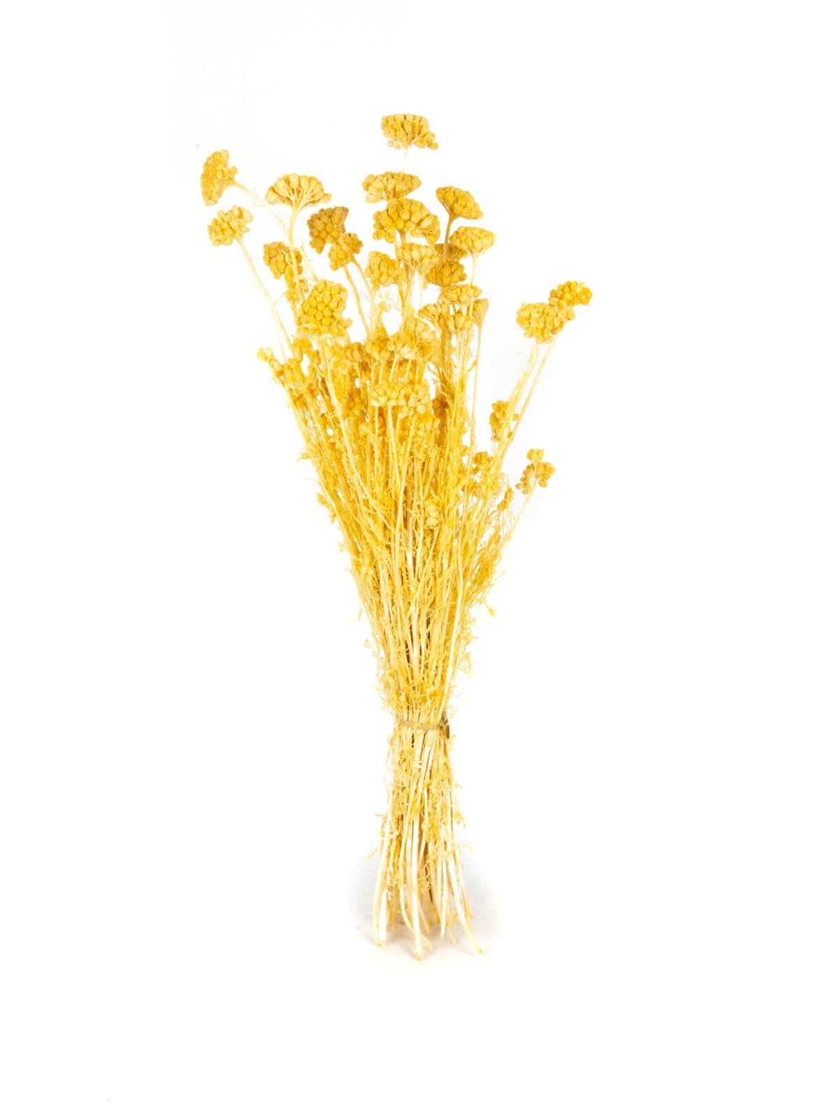 Lonas Natural NI - Image 1