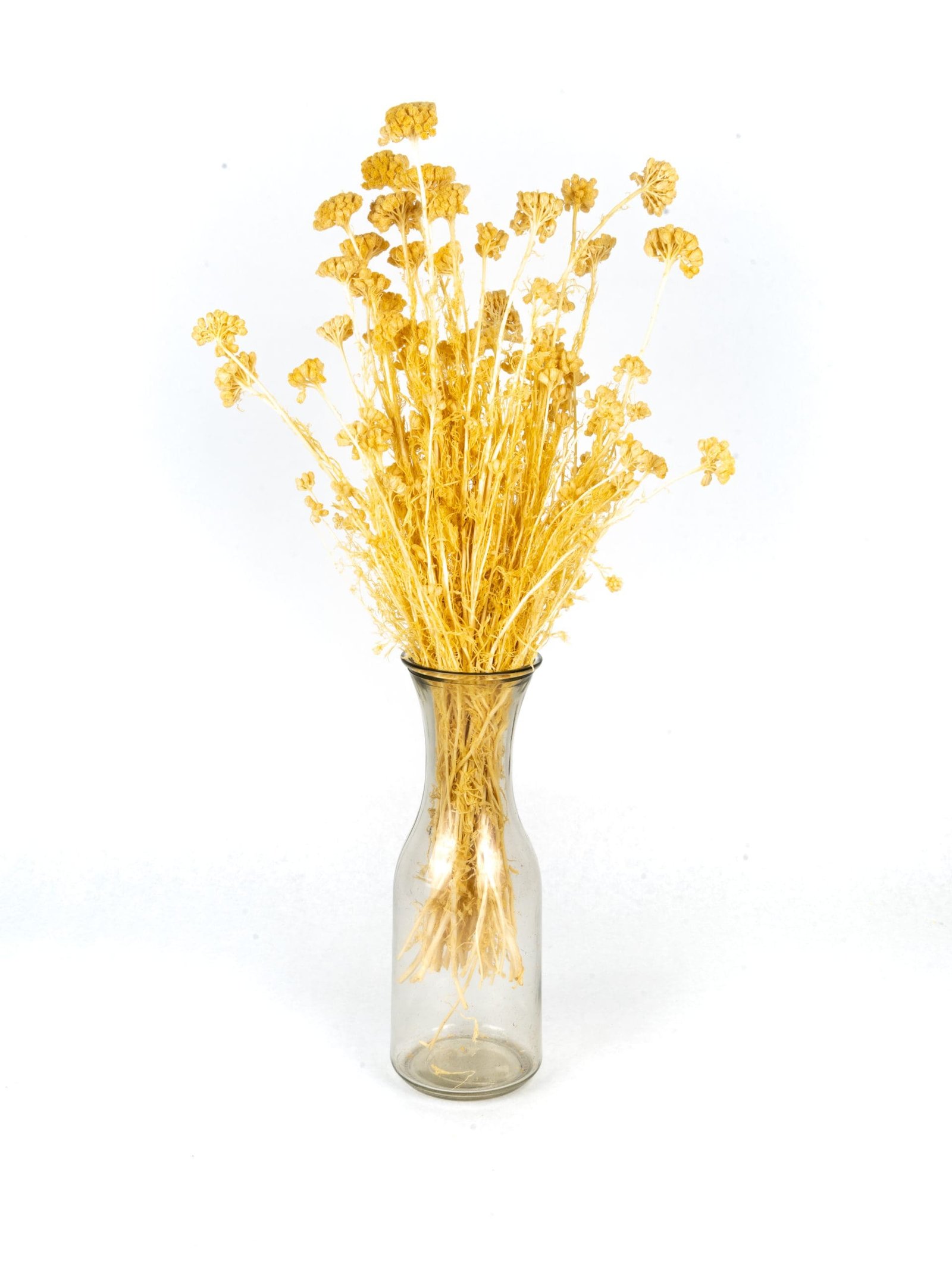 Lonas20Natural20NI20Vase.jpg Lonas Natural NI - Image 2