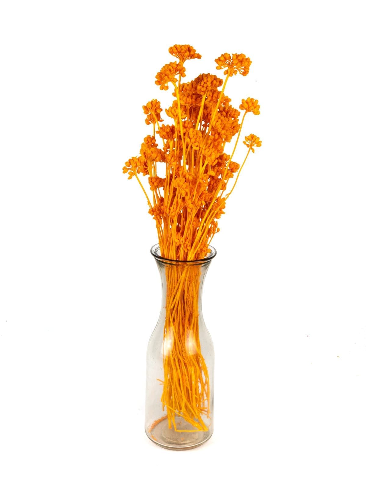 Lonas Orange NI - Image 2