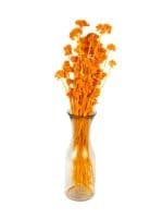 Lonas Orange NI - Image 2
