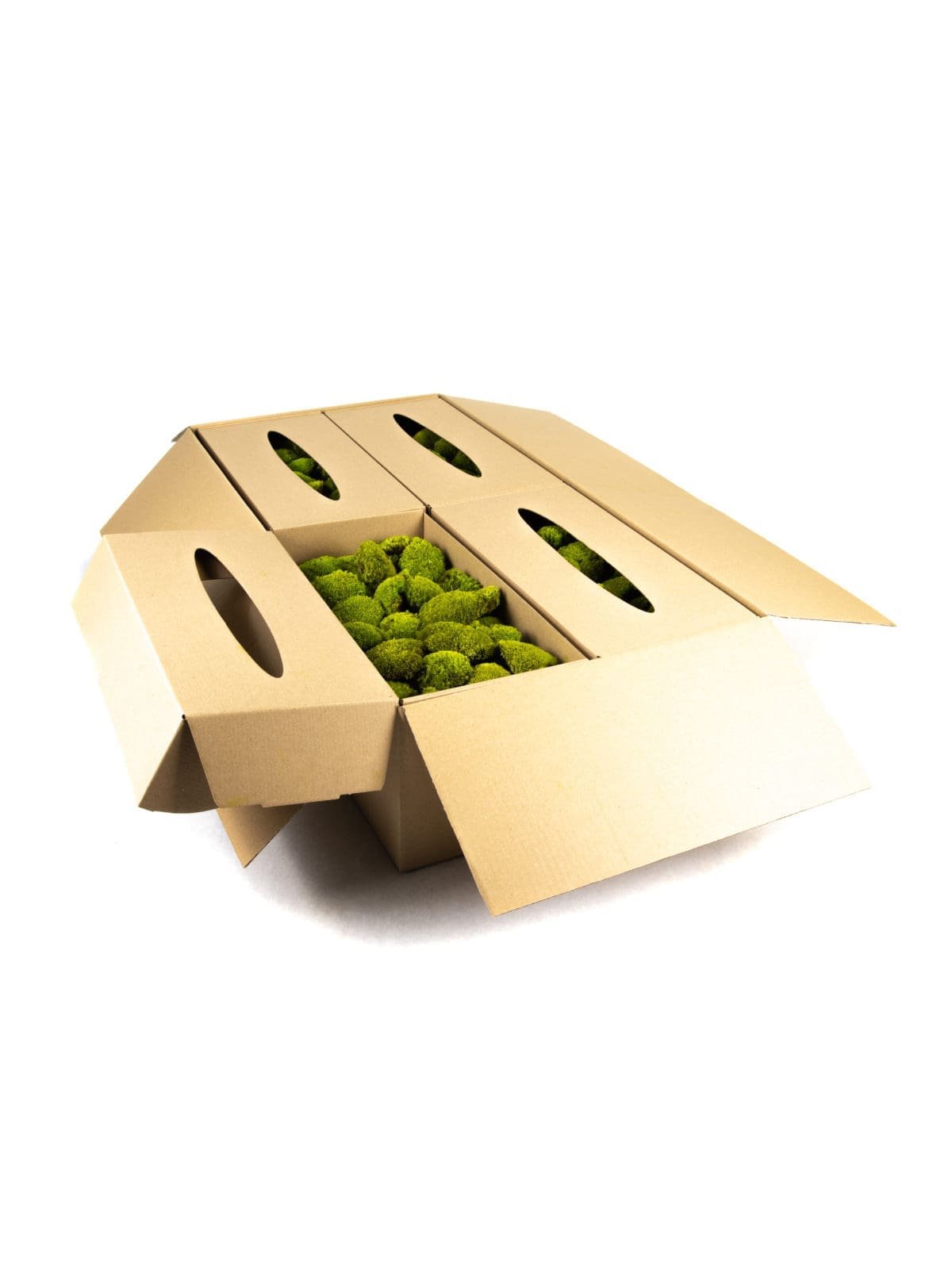 Pole Moss Mini Lime CH (8 lbs MB) - Image 3