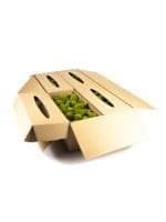 Pole Moss Mini Lime CH (8 lbs MB) - Image 3