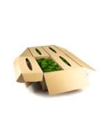 Pole Moss Mini Medium CH (8 lbs MB) - Image 3