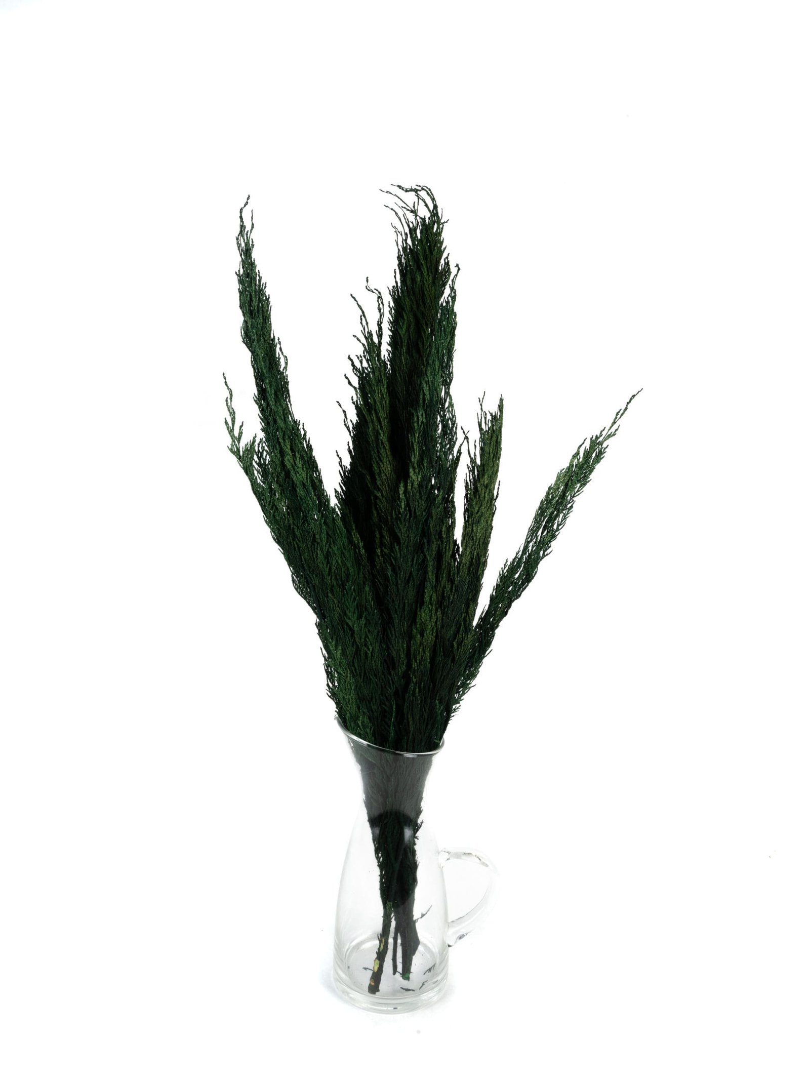 Thuja20Green20NI20Vase.jpg Thuja NI - Image 2