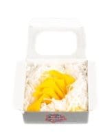 Mini Callas Yellow - Image 3