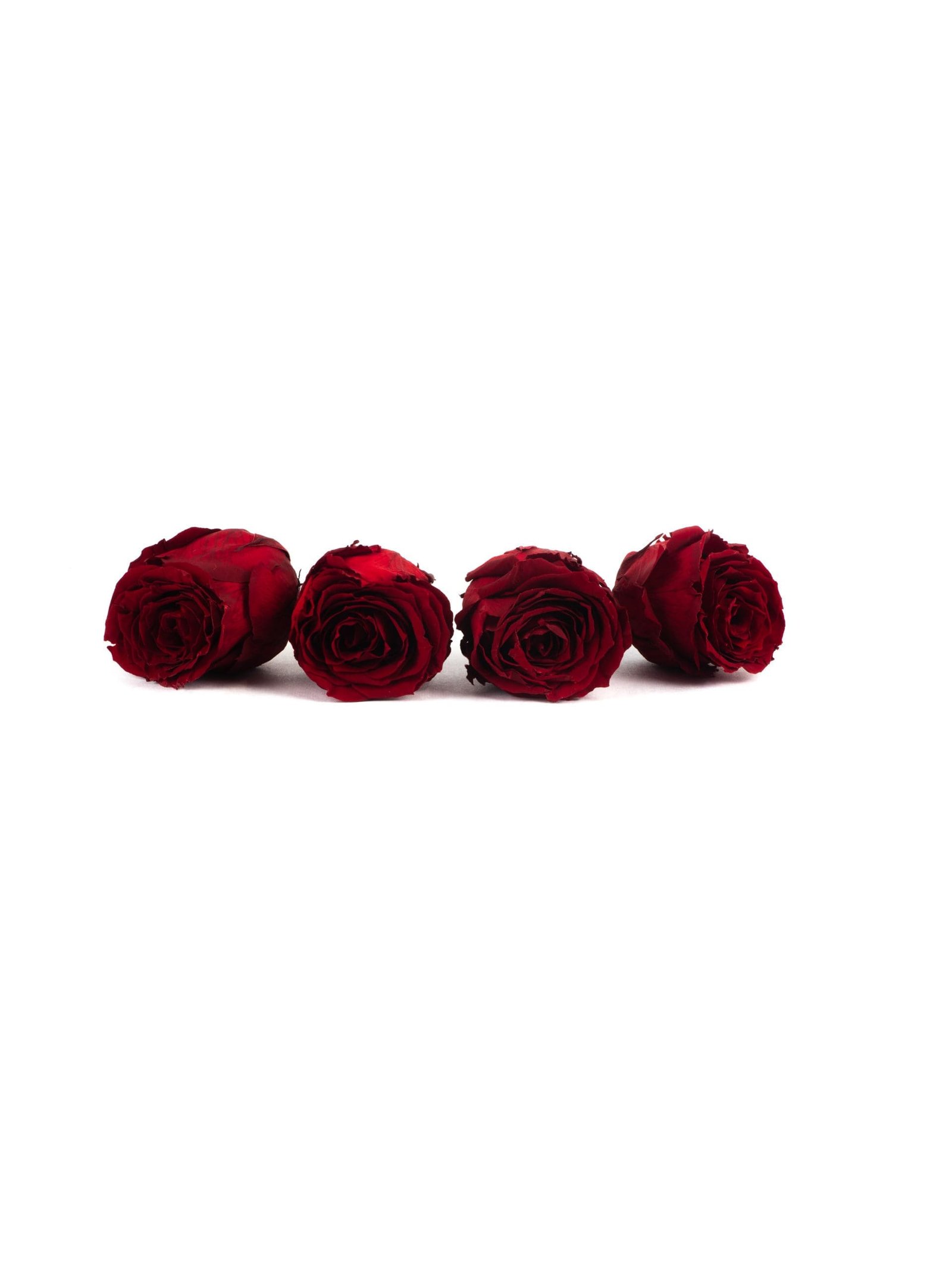 Rose20Dark20Red20-20420Head20-20Bunch.jpg Rose 4 Heads Purple - Image 1