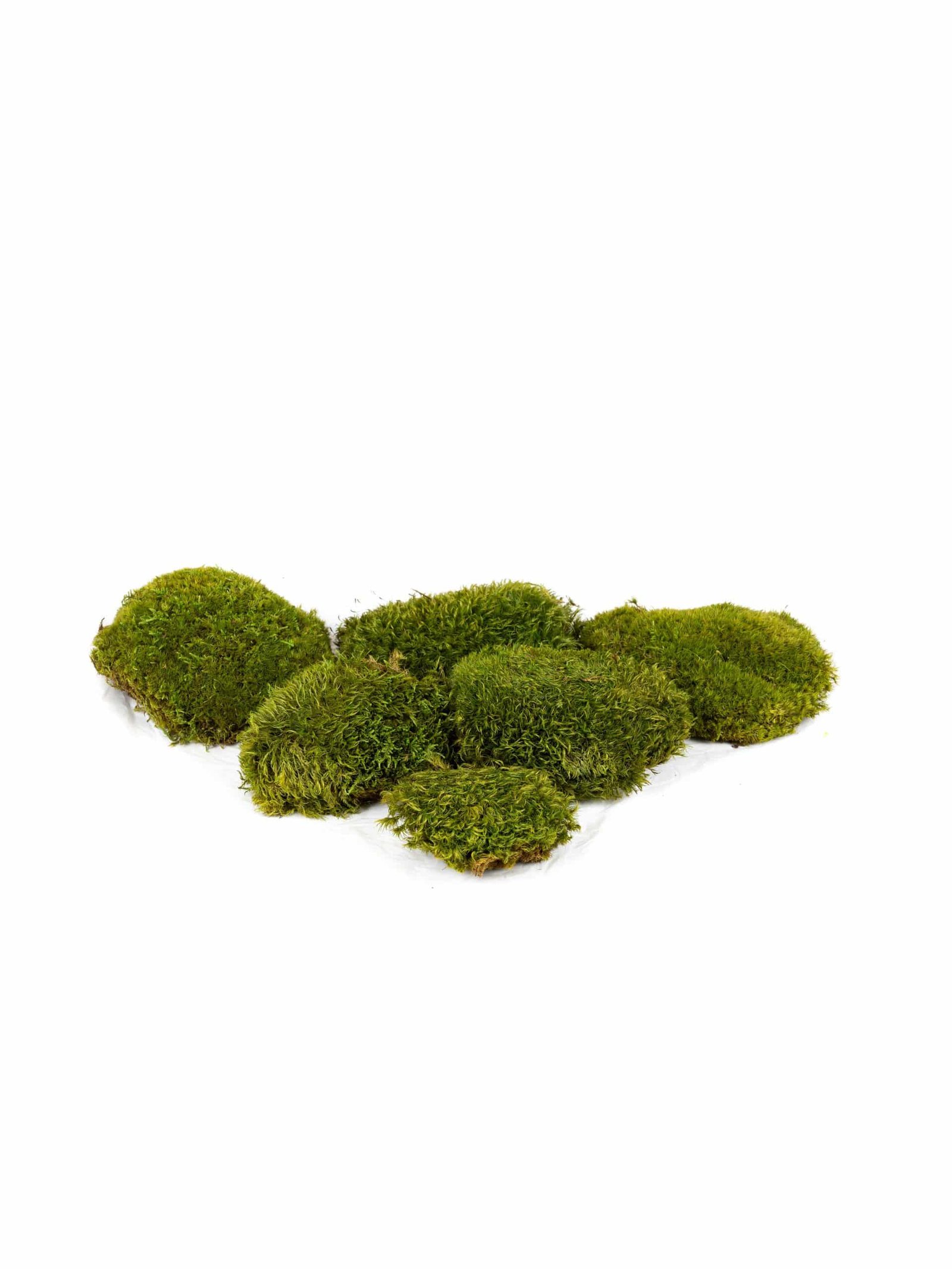Mood Moss Light CA (8 lbs MB)