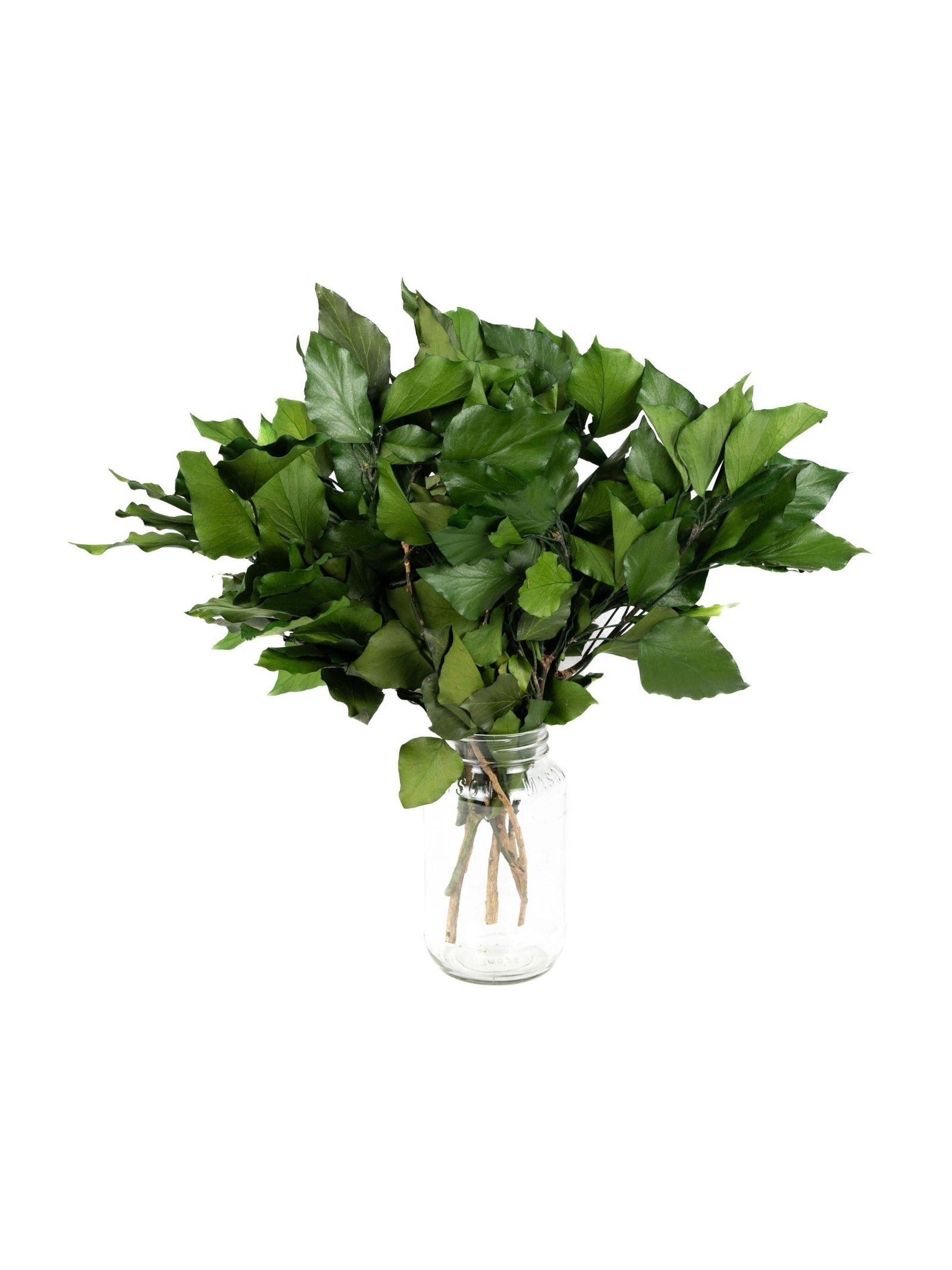 Ivy20Without20Fruits20Green20NI20-20Vase.jpg Ivy Without Fruits Green VM - Image 2