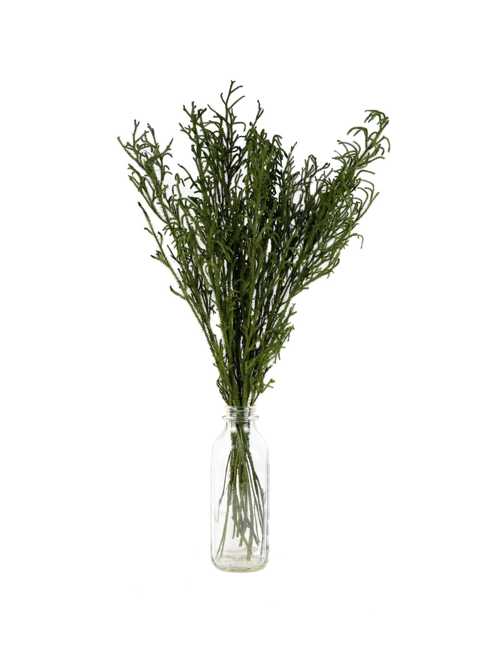 Lycopodium20Vine20Short20NI20-20Vase.jpg Lycopodium Vine Short NI - Image 2